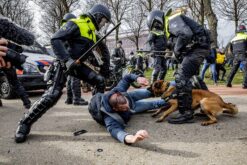 Curso Online El uso de la fuerza para ff.cc.s y seguridad privada. Aspectos jurídico prácticos. Últimas actualizaciones