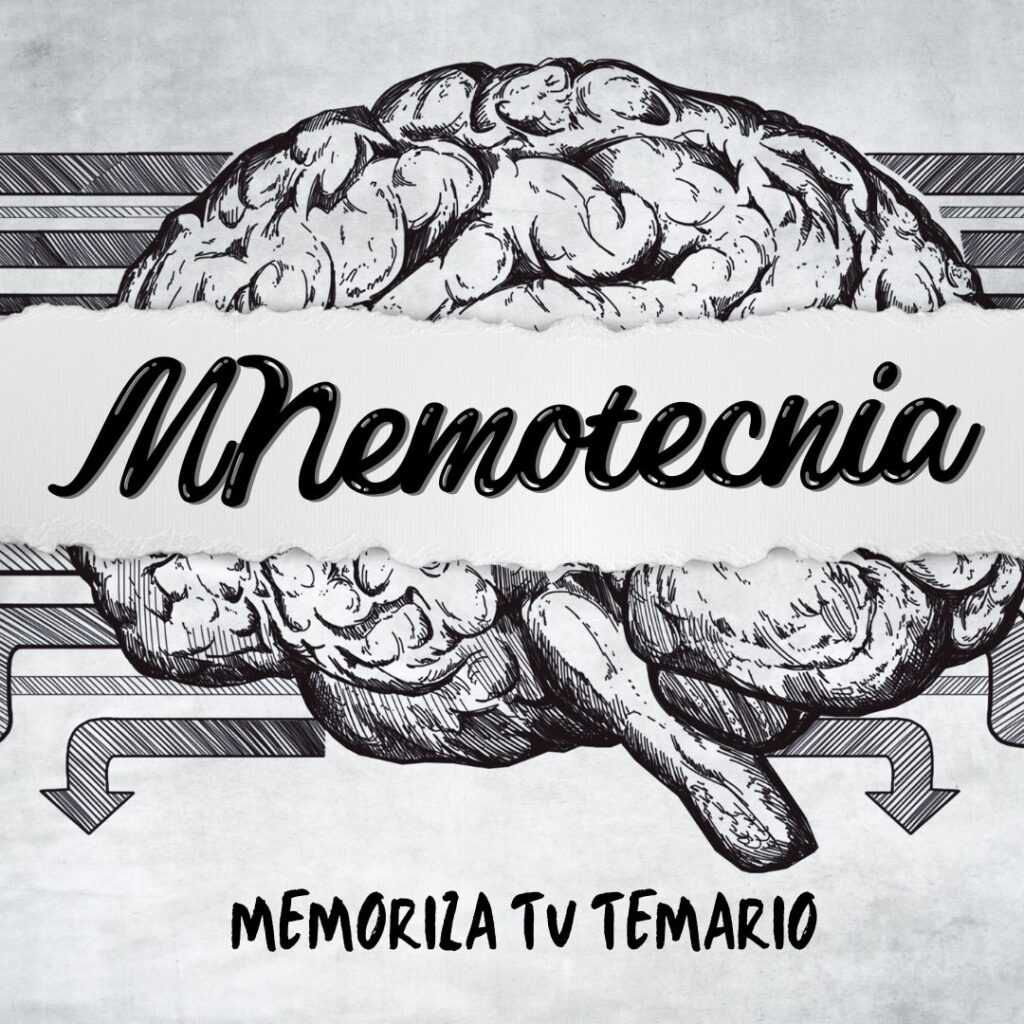 ilustración cerebro mnemotecnia