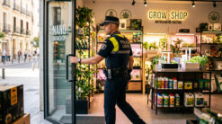 Curso Online de Intervención policial en establecimientos de productos cannábicos